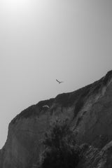 Two seagulls flying over a rocky cliff in Santa Barbara, California.