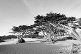 Black and white photograph of Carmel Beach