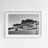 Framed black and white photograph of Carmel Beach.