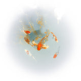 Circle of Six - Edition of 2