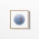 Happy Together IV - Edition of 2