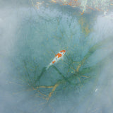 Melancholy - Edition of 2