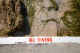 No Diving sign at California coast beach with ocean waves