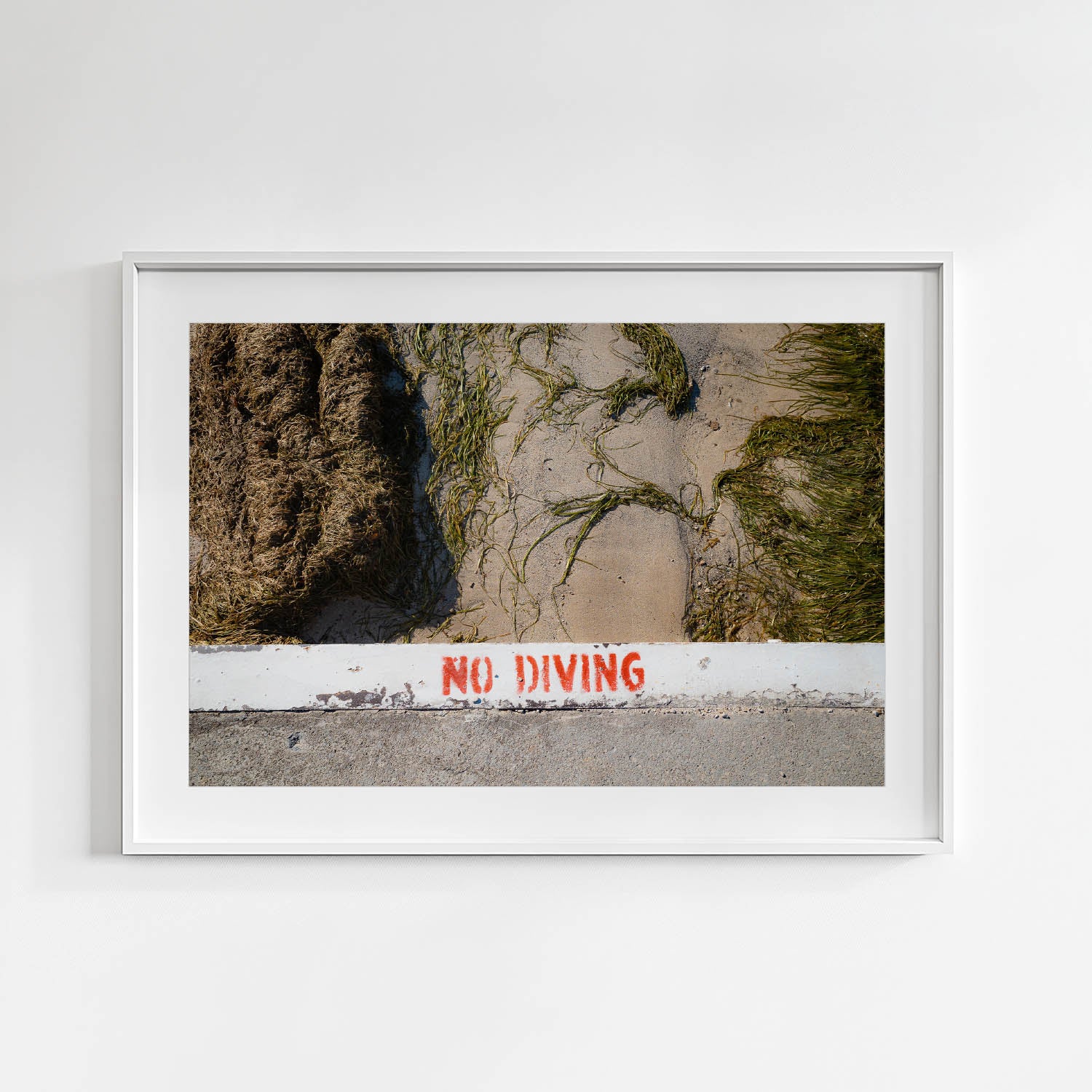 No Diving 12x9 print in gallery frame