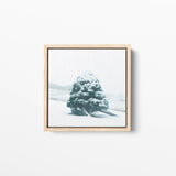 Snow Tree
