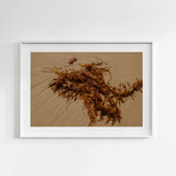 Framed artwork of a brown abstract seaweed on a sandy beach