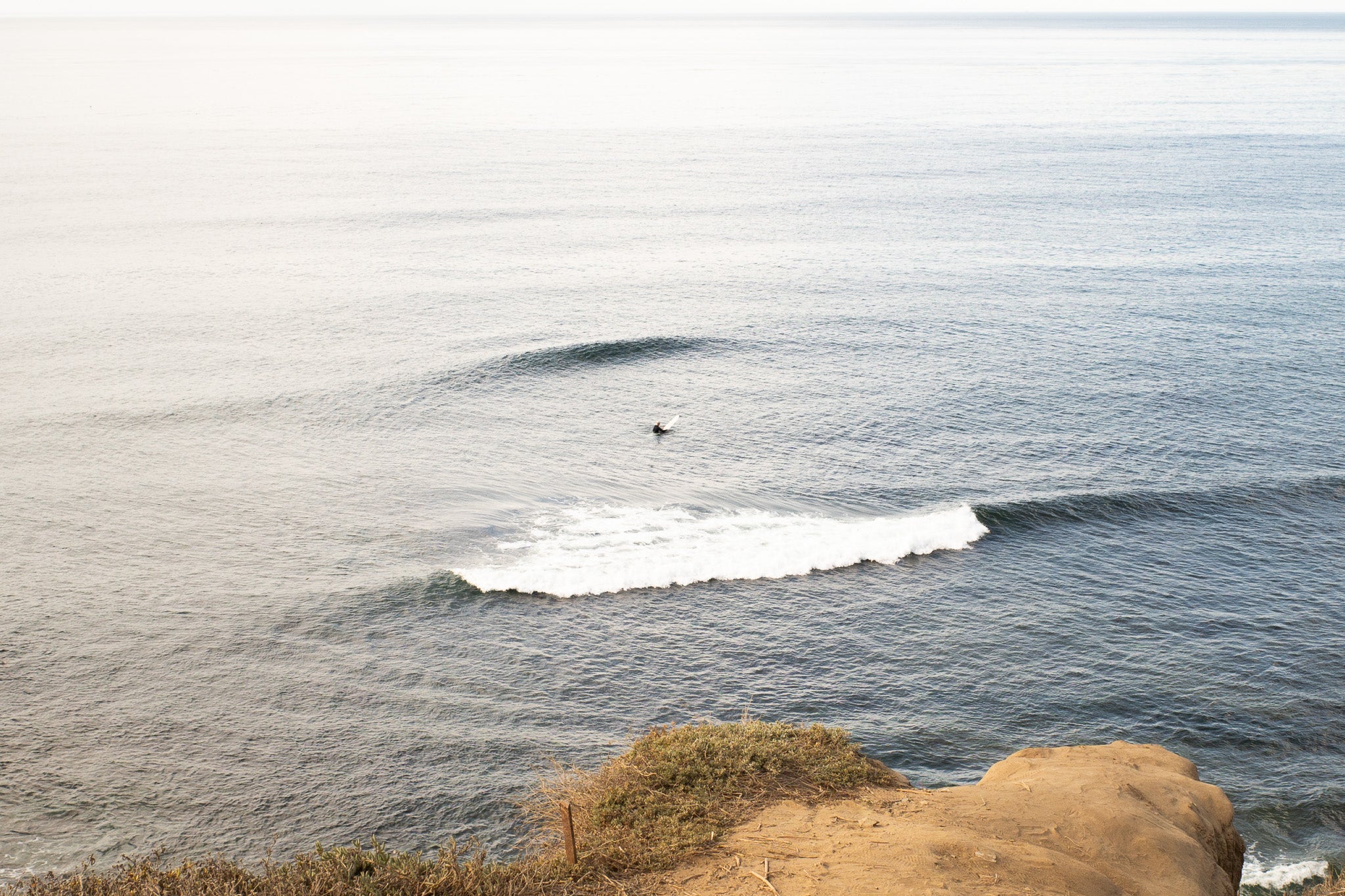 Lone surfer catching a wave in the ocean with cliffs in Sunset Cliffs, San Diego