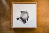 Framed artwork of a black and white highland calf cow on a wooden surface